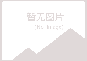 鹤岗兴山盼兰服务有限公司